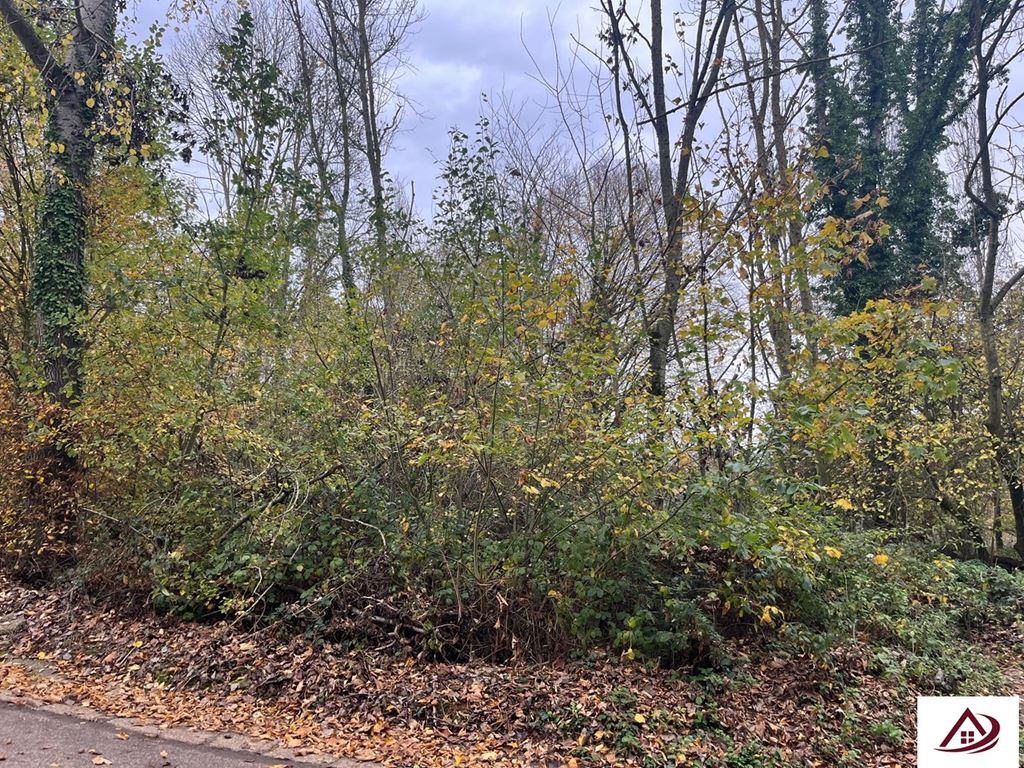 Terrain  AGENCE DE LA SCIE